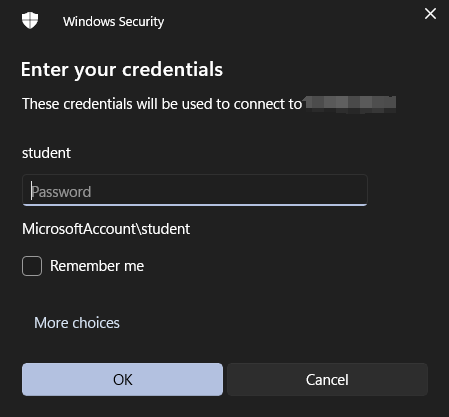 connect the remote desktop